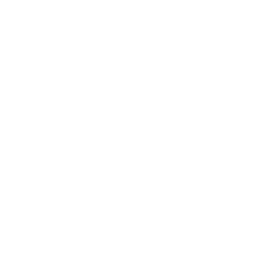 2025_OASIS_Logo_White_NoBkgrd